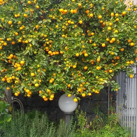 Liliya 4* Fiumefreddo di Sicilia